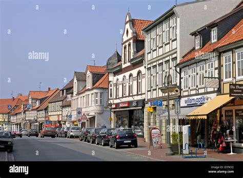 Angebote CECIL Lüchow (Wendland) .